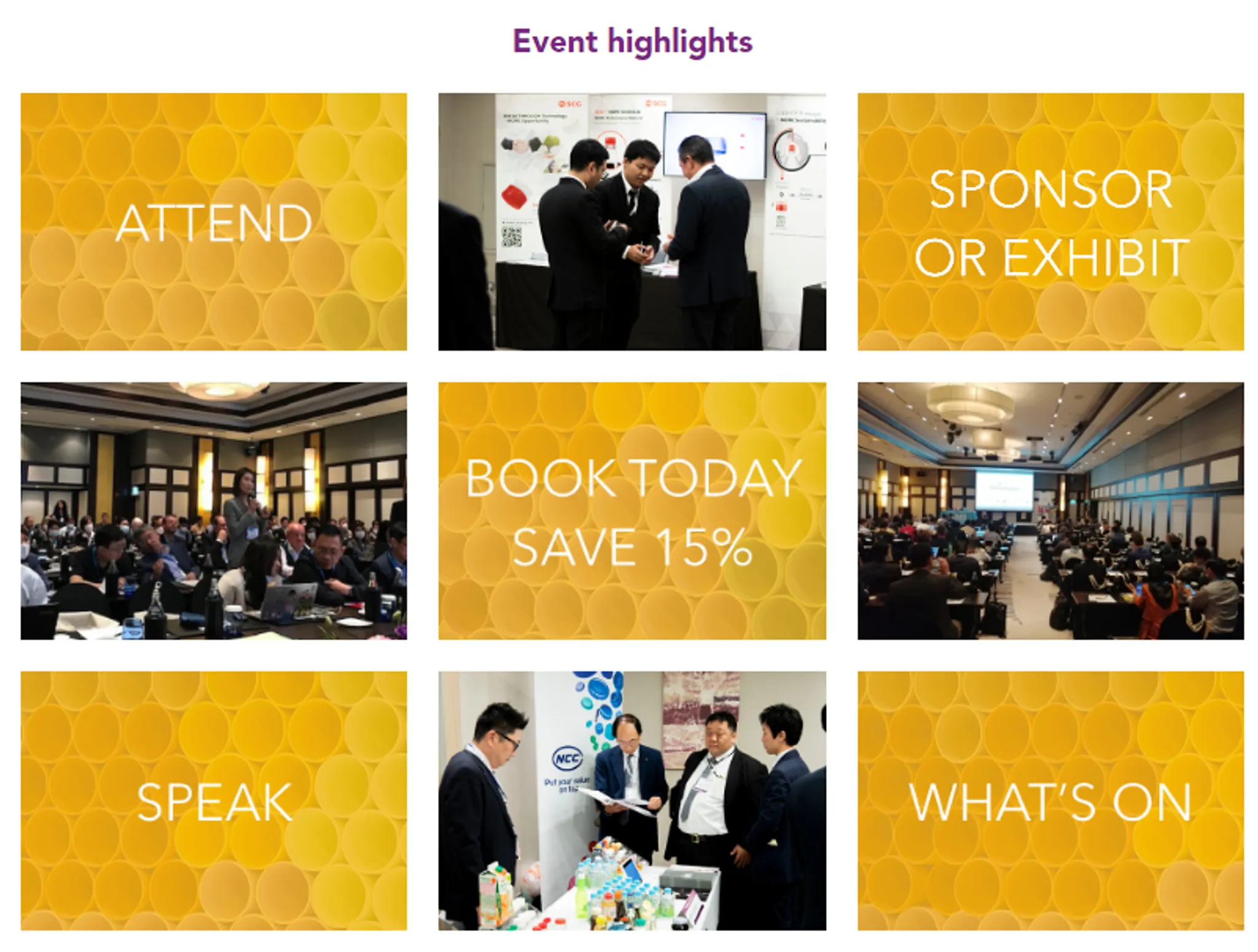 PVC Formulation Asia